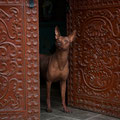 CUZCO